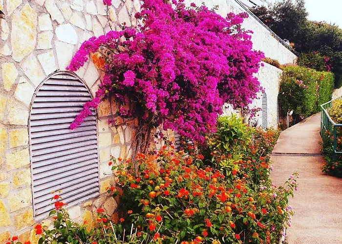 公寓 La Terrazza Di Monaco 卡普戴尔